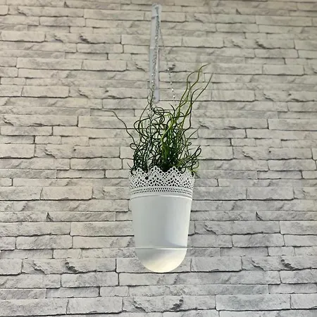 Le Clos Chassaing N1 - Wifi - Centre Ville-property Nm * Périgueux